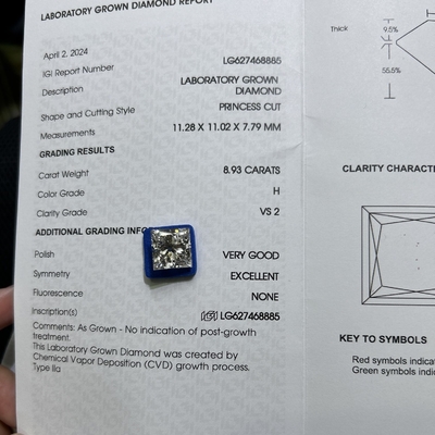8.93CT H Couleur VS2 Clarté 2EX CVD Laboratoire Grandit Diamant coupé Princesse